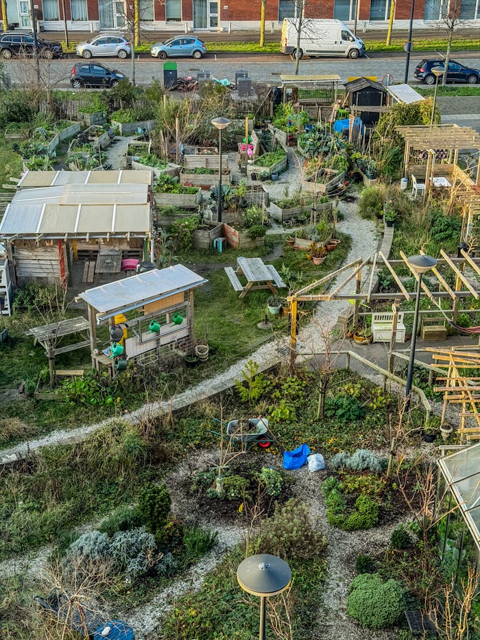 A vibrant urban community garden with greenery and pathways, enhancing city life.